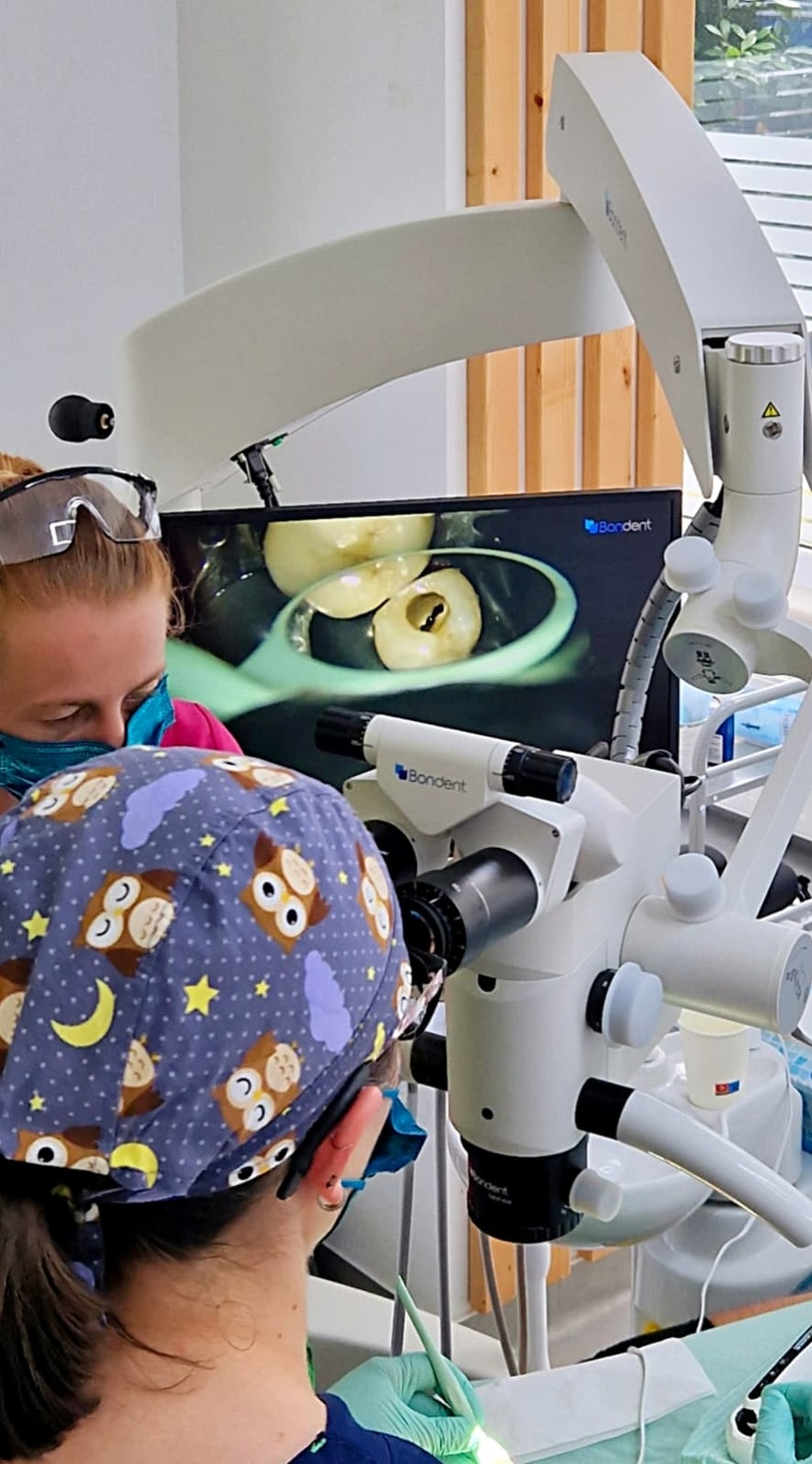 Tratament de canal la microscop dentar – ProDent Cluj